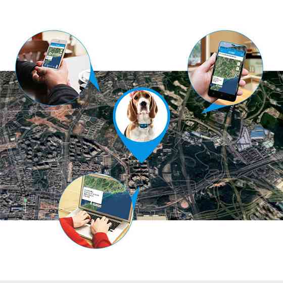 Трекер GPS для животных V43 Pet Tracker SIM (4GLTE+3GWCDMA+2GGSM) 500mAh Херсон