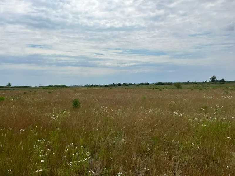 продажа земля сельскохозяйственного назначения Бориспольский, Головуров, 44800 грн.  - изображение 7