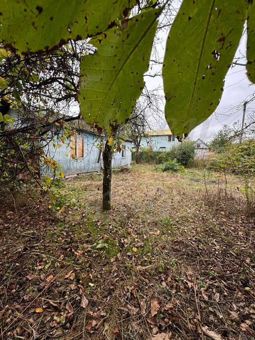 продажа земля сельскохозяйственного назначения Бориспольский, Чубинское, 18000 $  - зображення 8