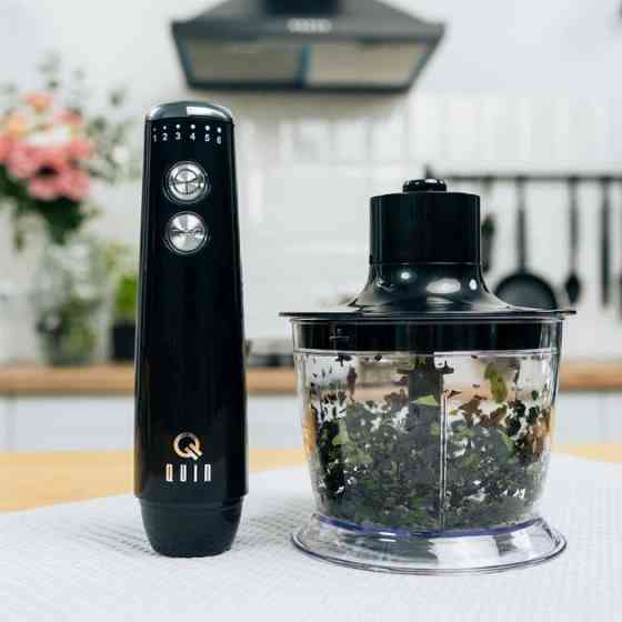 Блендер погружной QUIN HB-103 1200 Вт черный Київ