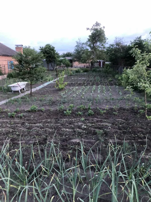 Продаж будинку Арнаутово Кропивницький - зображення 12