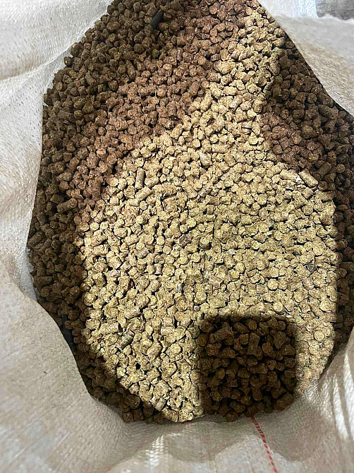 Продам паливні деревинно-тирсові дубові гранули (пелети) . Розмір 6 мм. Олександрія - зображення 4