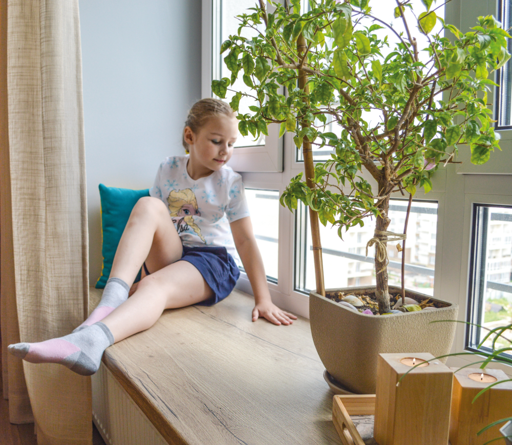 Подоконники деревянные ALBER Альбер коллекция Премиум Киев - изображение 2