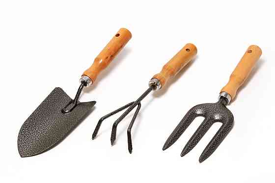 Набор садового инструмента MASTERTOOL Garden WOOD 3 шт 14-6099 Харків