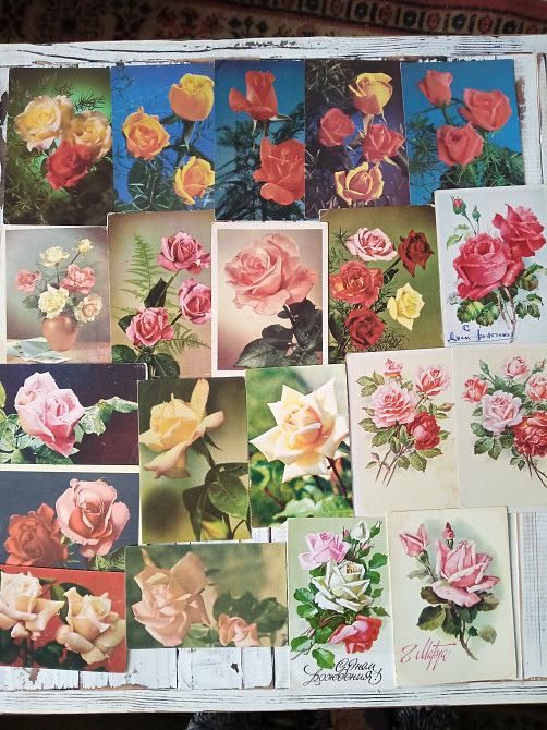 открытки советских времен из коллекции Днепр - изображение 7