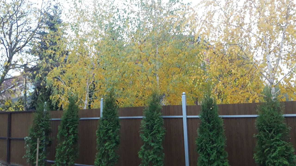 продажа 5-к дом Киево-Святошинский, Софиевская Борщаговка, 230000 $  - зображення 3