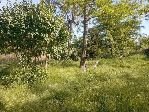 свободный участок в светлом Одесса - изображение 1