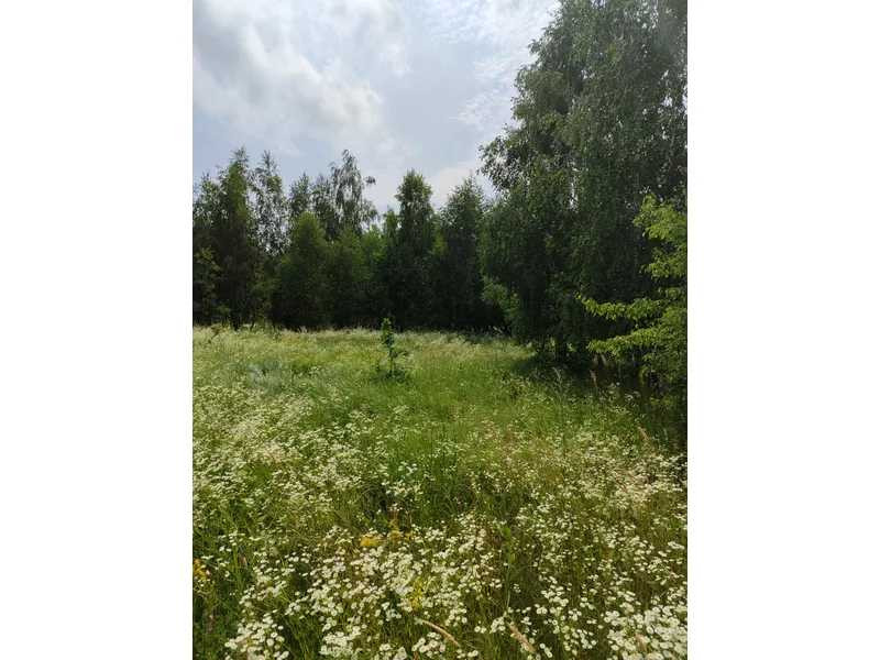 продажа земля сельскохозяйственного назначения Бородянский, Лубянка, 9370015 грн.  - зображення 9