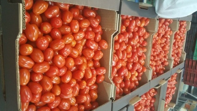 Продаем томаты Киев - изображение 3