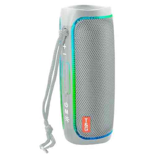 Колонка портативная Bluetooth T&G TG288 grey серая Київ