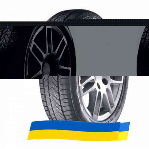 225/50 R18 Sunny Winter-maX A1 NW211 99V Легкова шина Київ