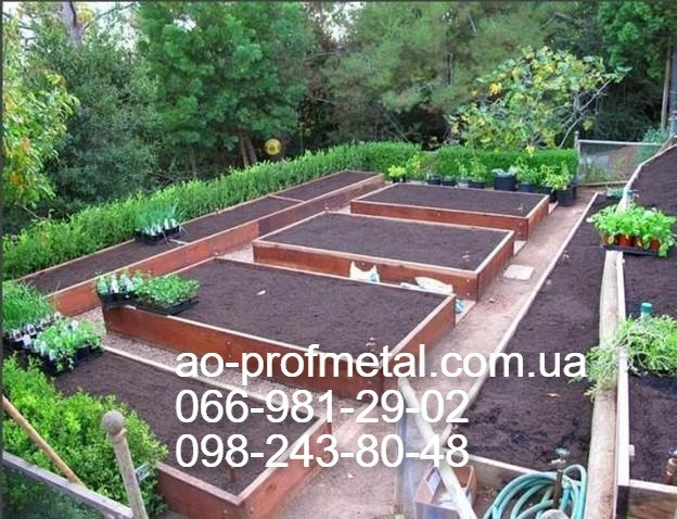 Грядка 2500 мм *1000 мм. Київ - зображення 3