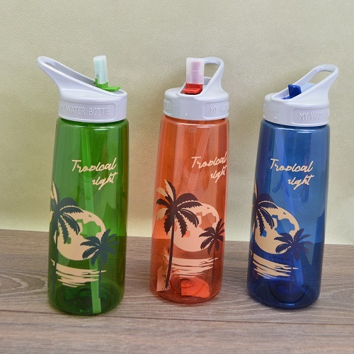 Пляшка для води Stenson Palm R-30561 820 мл Київ - зображення 1