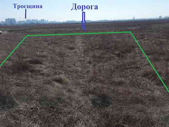 продажа земля сельскохозяйственного назначения Броварский, Погребы, 14000 $ 