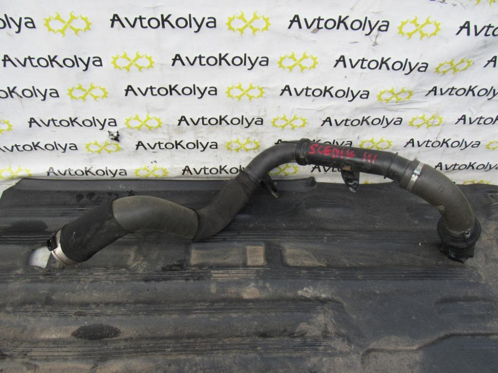 Патрубок интеркулера Renault Megane 1.6 DCI 2008-2024 (1065332S01) Ковель - зображення 1