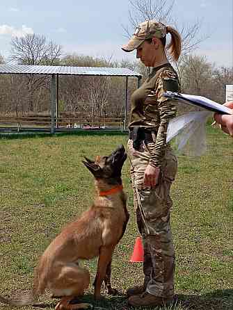 дресирування собак усіх порід на спеціально обладнаному майданчику Запоріжжя