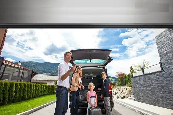 Ворота гаражні секційні Львов - изображение 7