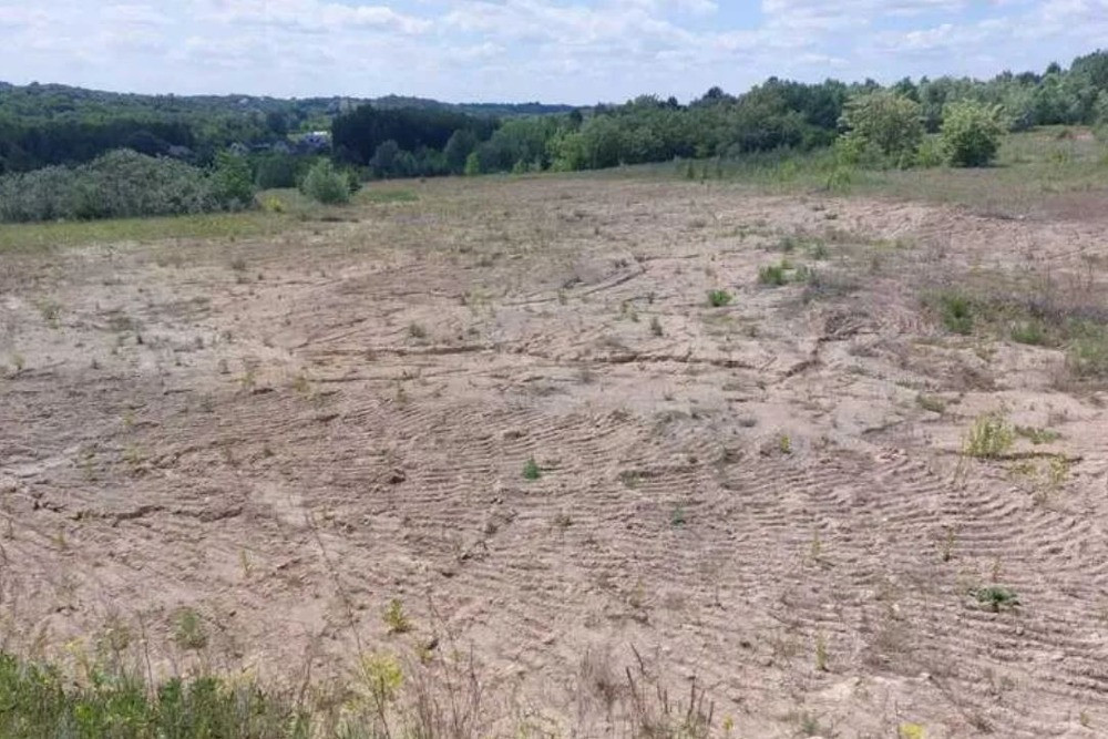 Рославичі. 16сот (можливо 8+8сот) поряд КМ "Перлина Італії", Київ-12км Київ - зображення 2