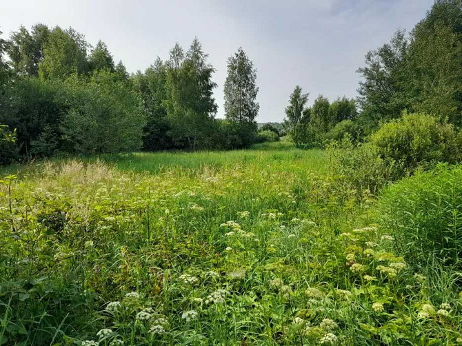 продажа участок под жилую застройку Макаровский, Кодра, 7900 $  - зображення 12