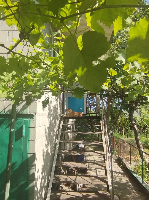 Продам дом на Левобережном-3 Дніпро - зображення 5