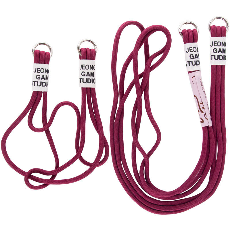 Чехол TPU two straps California для Apple iPhone 13 Pro (6.1") Херсон - изображение 7