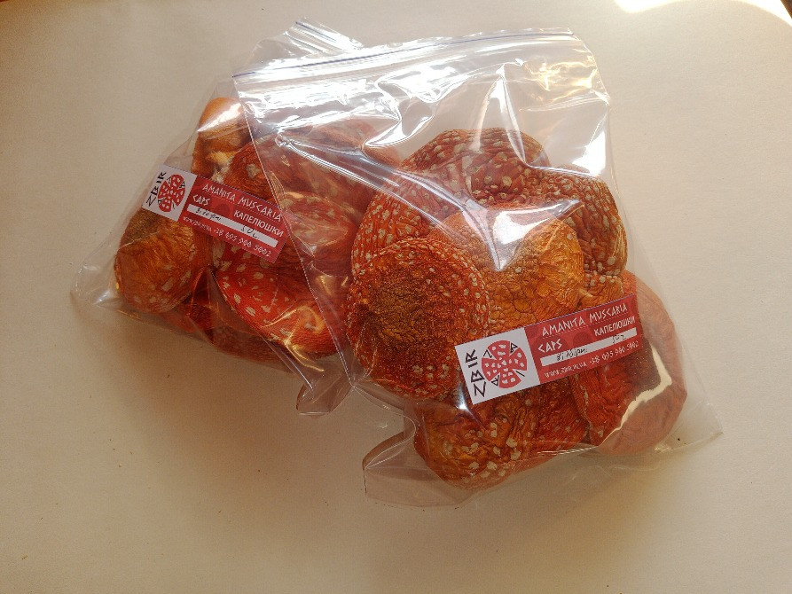 Мухомор ЧЕРВОНИЙ (Amanita Muscaria), сушені капелюшки. Сезон 2025. Полтава - изображение 7