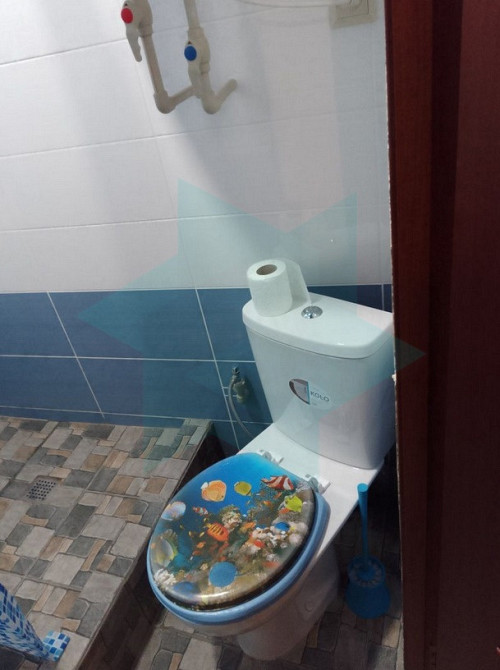 Сдам. Дом 3-к, 60 м.кв. 4 сотки. Амур. ул.Михайлова Дніпро - зображення 3