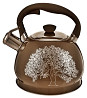 Чайник зі свистком Edenberg Срібло 1 EB-1956-SB 2 л коричневий Киев