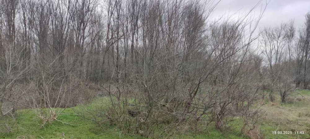 продажа участок под жилую застройку Запорожье, Днепровский, 1094000 грн. Запоріжжя - зображення 3