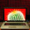 Ноутбук HP Envy 17 i7 8/128gb SSD+500gb HDD Nvidia GT 740M Київ