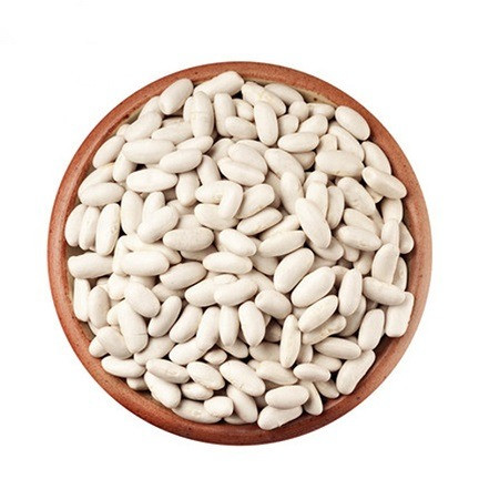 Квасоля від 1 тонни продам Житомир - зображення 1