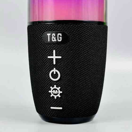 Колонка портативная Bluetooth T&G TG644 black черная Київ