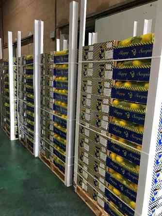 Продаем лимоны Киев