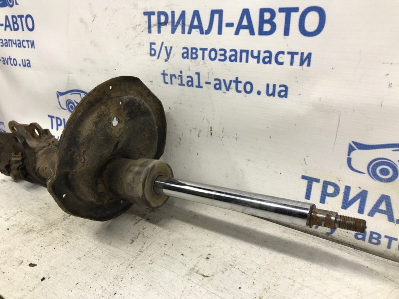 Амортизатор передний правый Kia Ceed 2006-2012 546611H001 (Арт. 49283) Киев - изображение 2