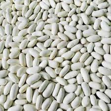 Насіння (посівний матеріал) білої квасолі дрібної Київ - зображення 1