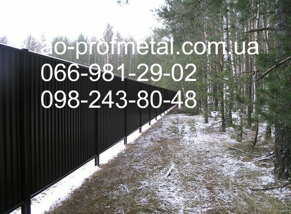 Профлист на забор черного цвета 9005 мат. Київ - зображення 2