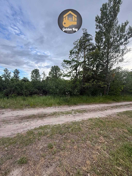 продажа 2-к дом Вышгородский, Воропаев, 55000 $  - зображення 4