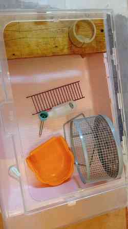 Клетка для хомяков MINI DUNA Ferplast, 50*35*25см, Италия Київ