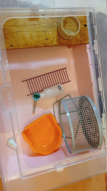 Клетка для хомяков MINI DUNA Ferplast, 50*35*25см, Италия Київ - зображення 4