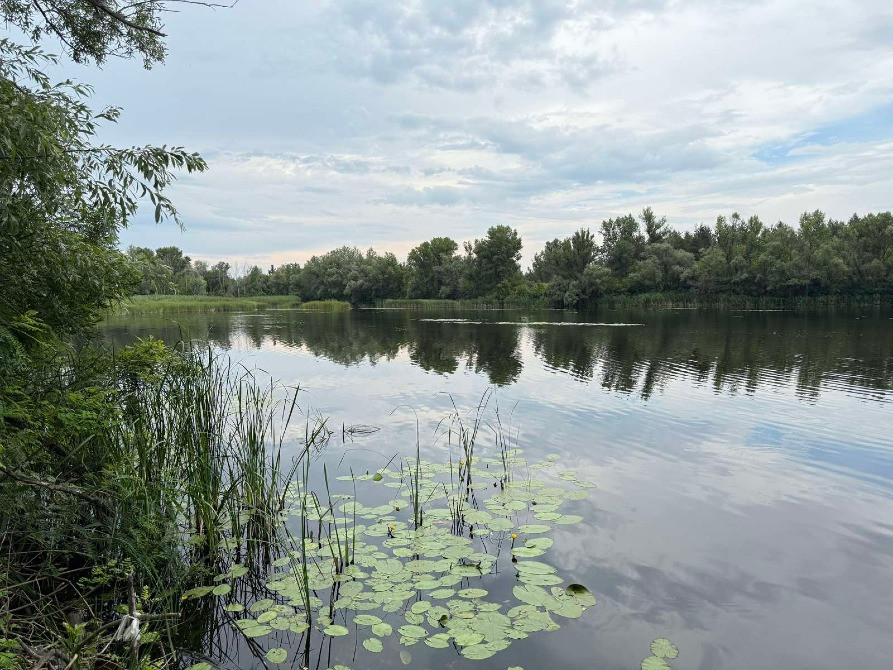 Продам дві ділянки у лісі з виходом до р.Орель, Царичанський район. Дніпро - зображення 2
