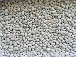 Купуємо квасолю дрібним та крупним оптом Тернопіль