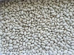 Купуємо квасолю дрібним та крупним оптом Тернопіль - зображення 1