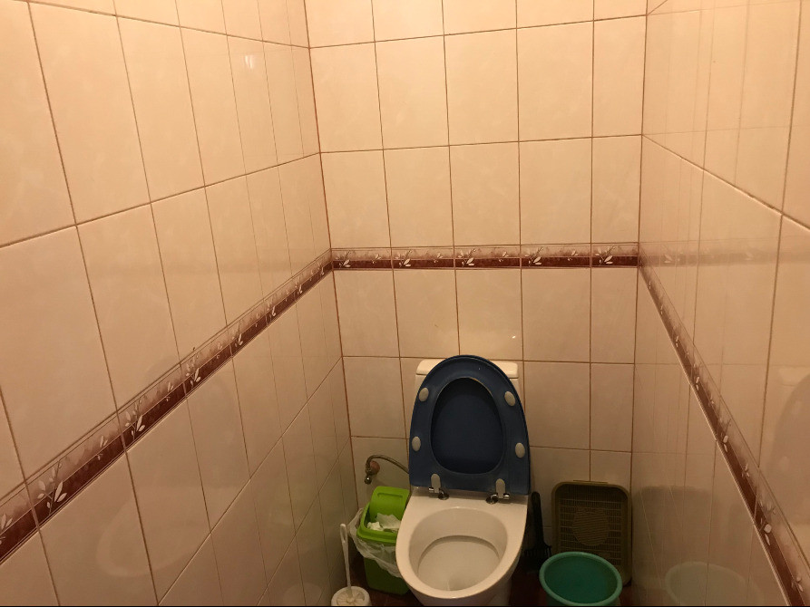 Продам дом Подгороднее Дніпро - зображення 10