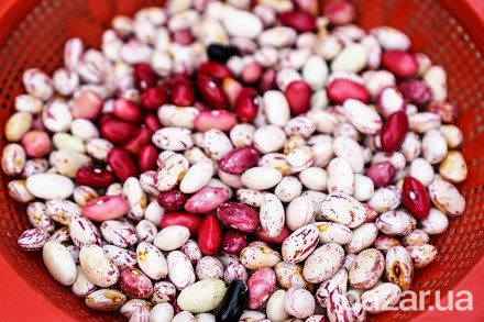 Квасоля з доставкою. Будь-які обсяги Полтава - изображение 1