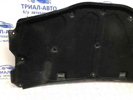 Обшивка капота Chevrolet Captiva 2006-2011 96631313 (Арт. 58205) Київ