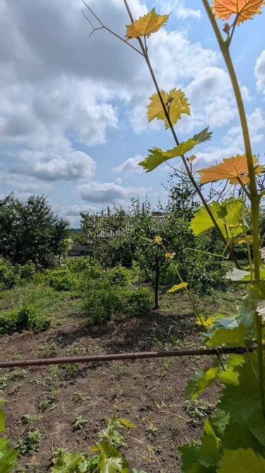 продажа 3-к дом Кропивницкий, Крепостной, 88000 $ Кропивницкий - изображение 12