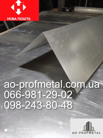Коник попростий з оцинковки. Київ