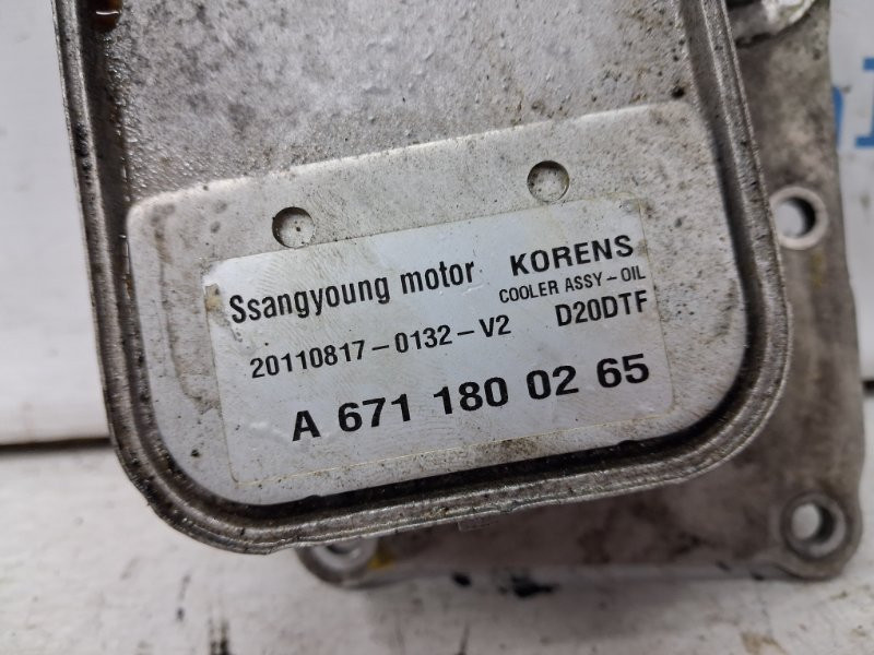 Радиатор масляный ДВС (теплообменник) SsangYong Korando C200 2.0 DIESEL D20DT 2010 (б/у) Київ - зображення 4