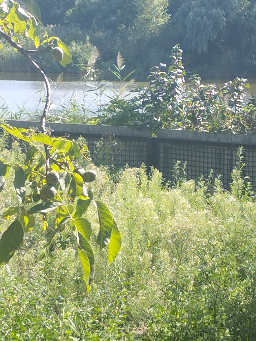 Продам дом на Левобережном-3 Дніпро - зображення 6