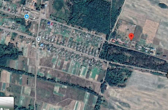 продажа 5-к дом Вышгородский, Федоровка, 70000 $  - зображення 3